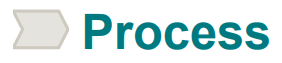 process.png